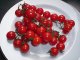 甘い小紅チェリー　ミニトマト　18粒　