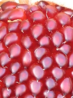 画像2: 超可愛いイチゴとうもろこし　150粒