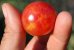 画像2: 甘いキャンディ　チェリーミニトマト　90粒 (2)