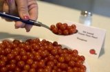 画像: 世界で一番極小のトマト　小紅マイクロトマト　18粒