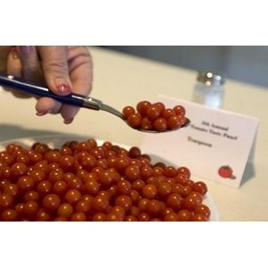 画像: 世界で一番極小のトマト　小紅マイクロトマト　18粒