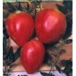 画像1: ハート形の　赤ベリートマト　 30粒 (1)