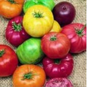 画像: 種類が多い　カラフルなトマト 60粒
