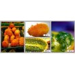 画像2: 欧州高級果物 ミネラル豊富なキワノ メロン　12粒 (2)