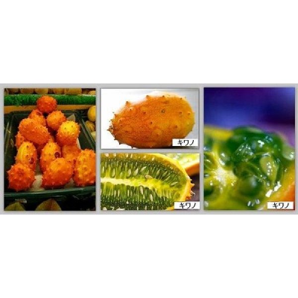 画像2: 欧州高級果物 ミネラル豊富なキワノ メロン　2粒 (2)