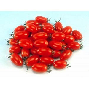 画像: 超甘い　聖女型ミニトマト 30粒　F1品種
