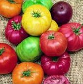 画像1: 種類が多い　カラフルなトマト 30粒 (1)