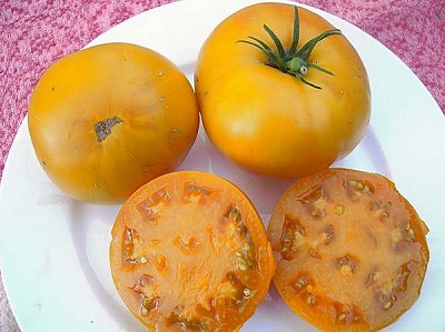 画像1: ブランディワイントマト（黄色品種）　18粒 (1)