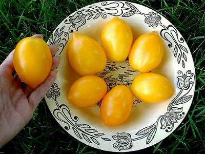 画像1: 黄桃トマト 6粒 (1)